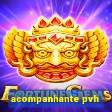 acompanhante pvh